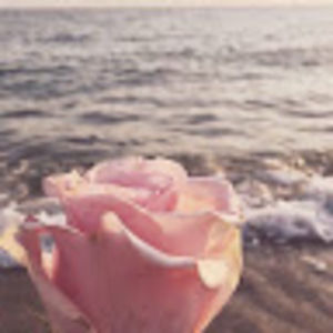 Meet your Posher, Naya